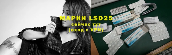 гидропоника Горняк