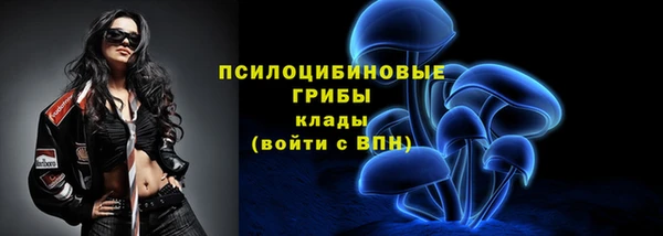 гидропоника Горняк