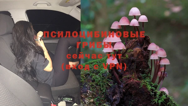 гидропоника Горняк