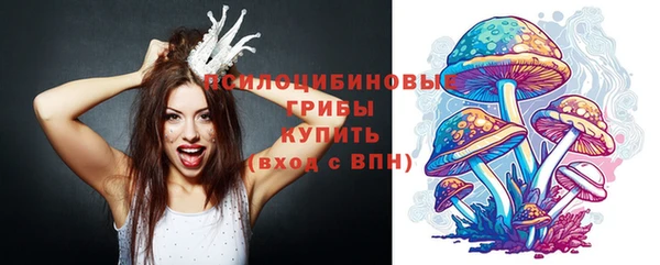 спайс Горно-Алтайск